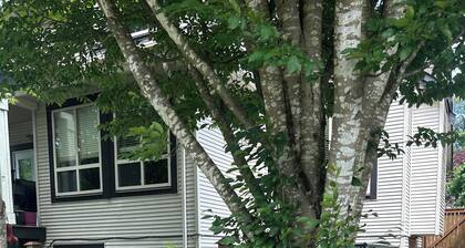 Spacious & bright 2 bedroom suite with full kitchen and in-suite laundry!