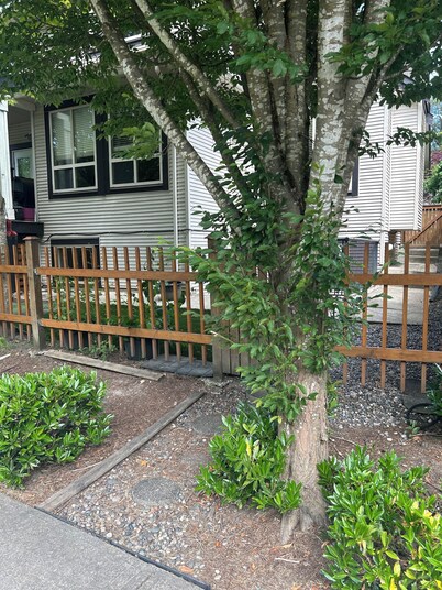 Spacious & bright 2 bedroom suite with full kitchen and in-suite laundry!