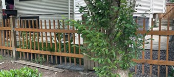 Spacious & bright 2 bedroom suite with full kitchen and in-suite laundry!