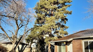 Il s’agit d’une propriété résidentielle dotée d’un grand arbre à feuilles persistantes, d’une maison en briques et d’une pelouse bien entretenue.