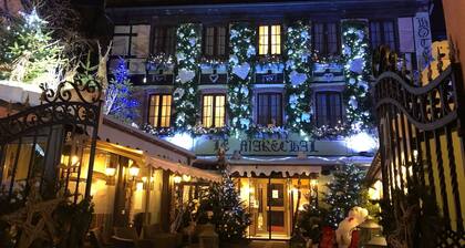 Quiet cottage with panoramic view, Gaschney, Vosges, Colmar
