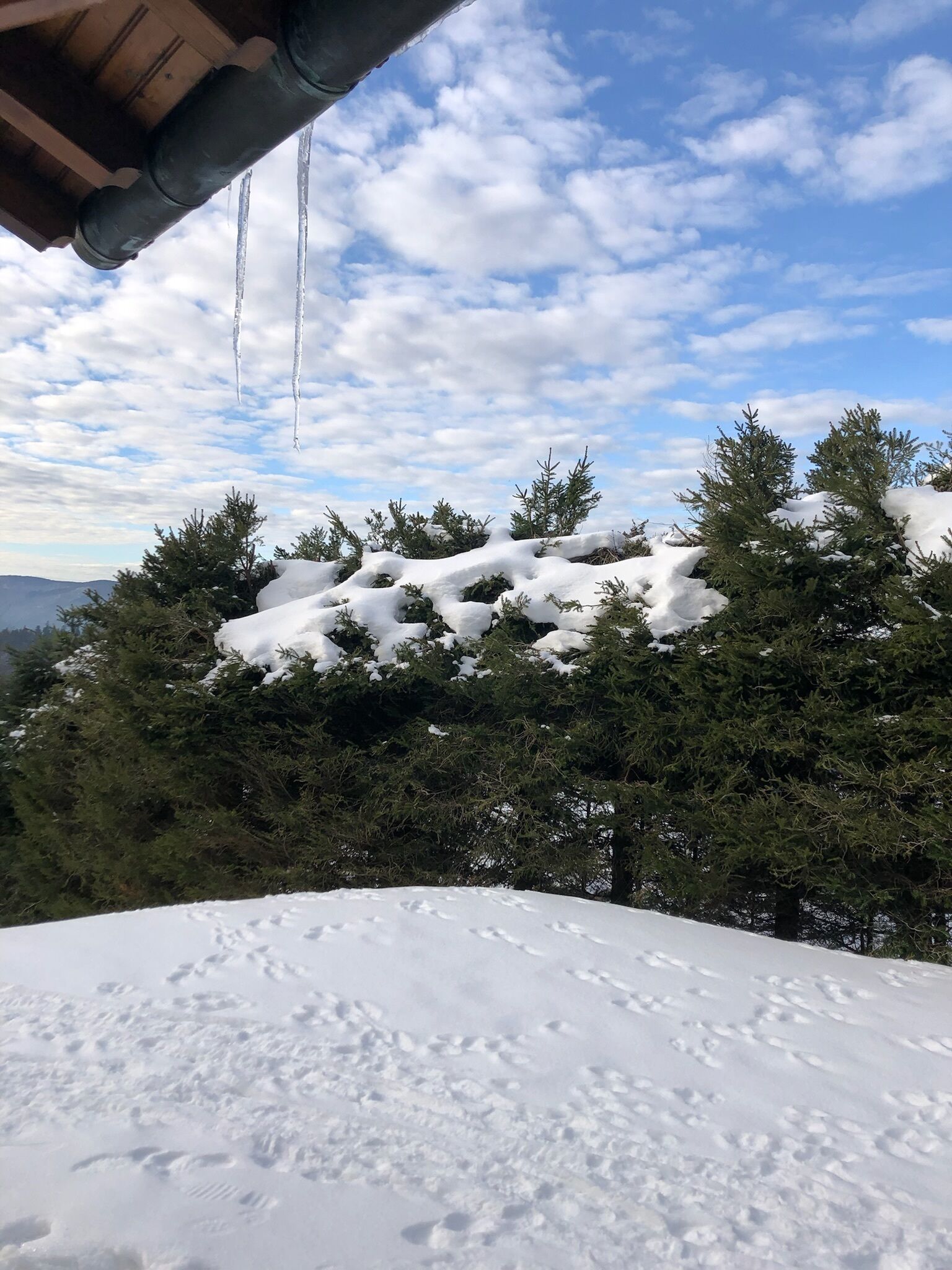 Àrea exterior de l'allotjament