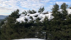 Schneebedeckte Landschaft mit Bäumen und Eiszapfen, die an einem Gebäude hängen.