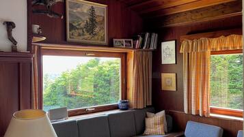 TV connectée, cheminée, livres, chaîne hi-fi