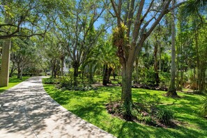 Property grounds - LUXURIOUS VILLA WATERFRONT NEAR SIESTA KEY BEACH (Sarasota)