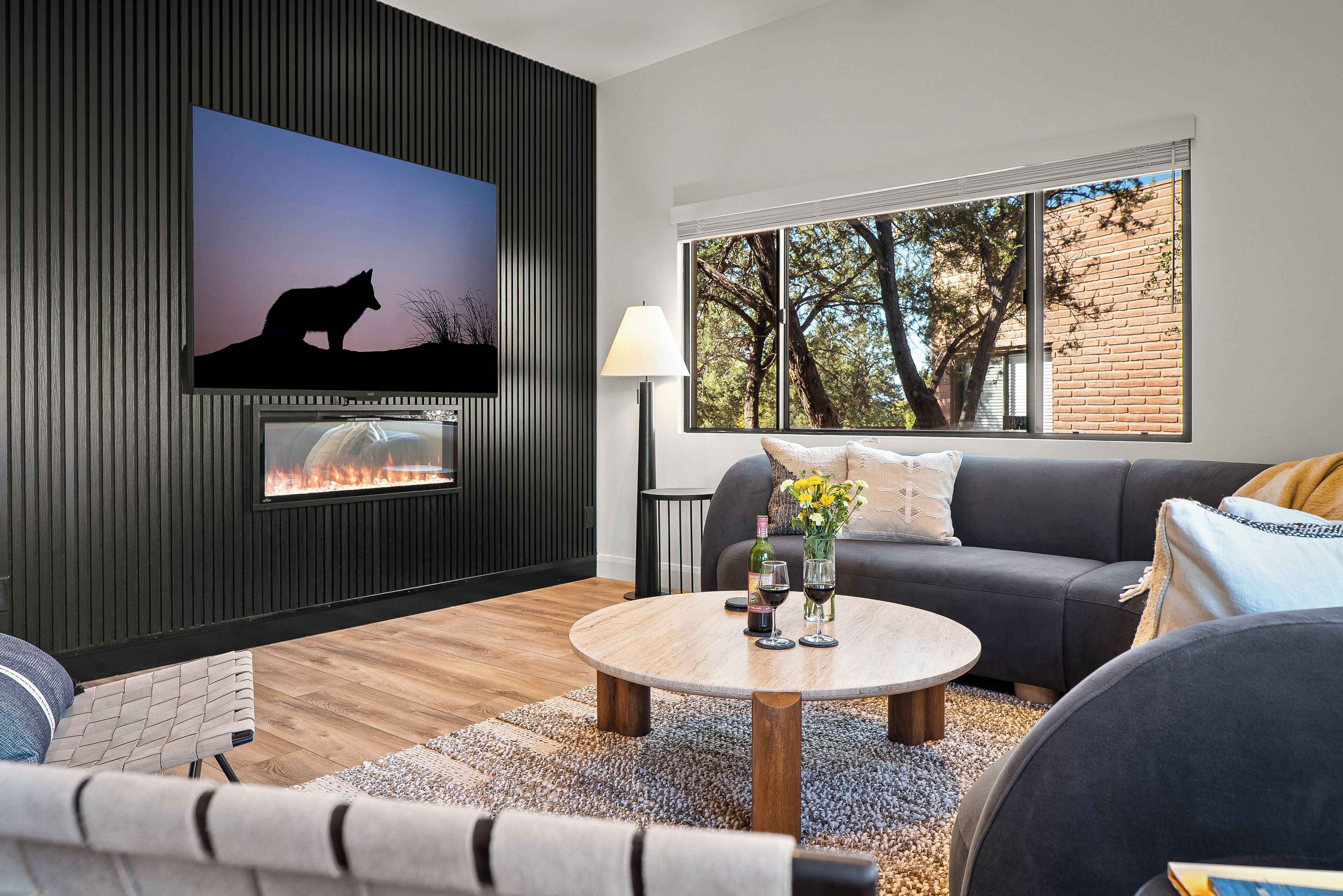 Smart TV, fireplace, books