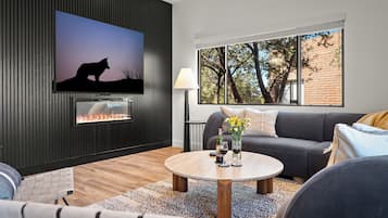 Smart TV, fireplace, books