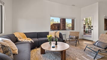 Smart TV, fireplace, books