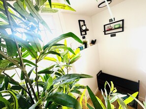 A room with a bed, a wall-mounted shelf with decorative items, and a large plant in the foreground.