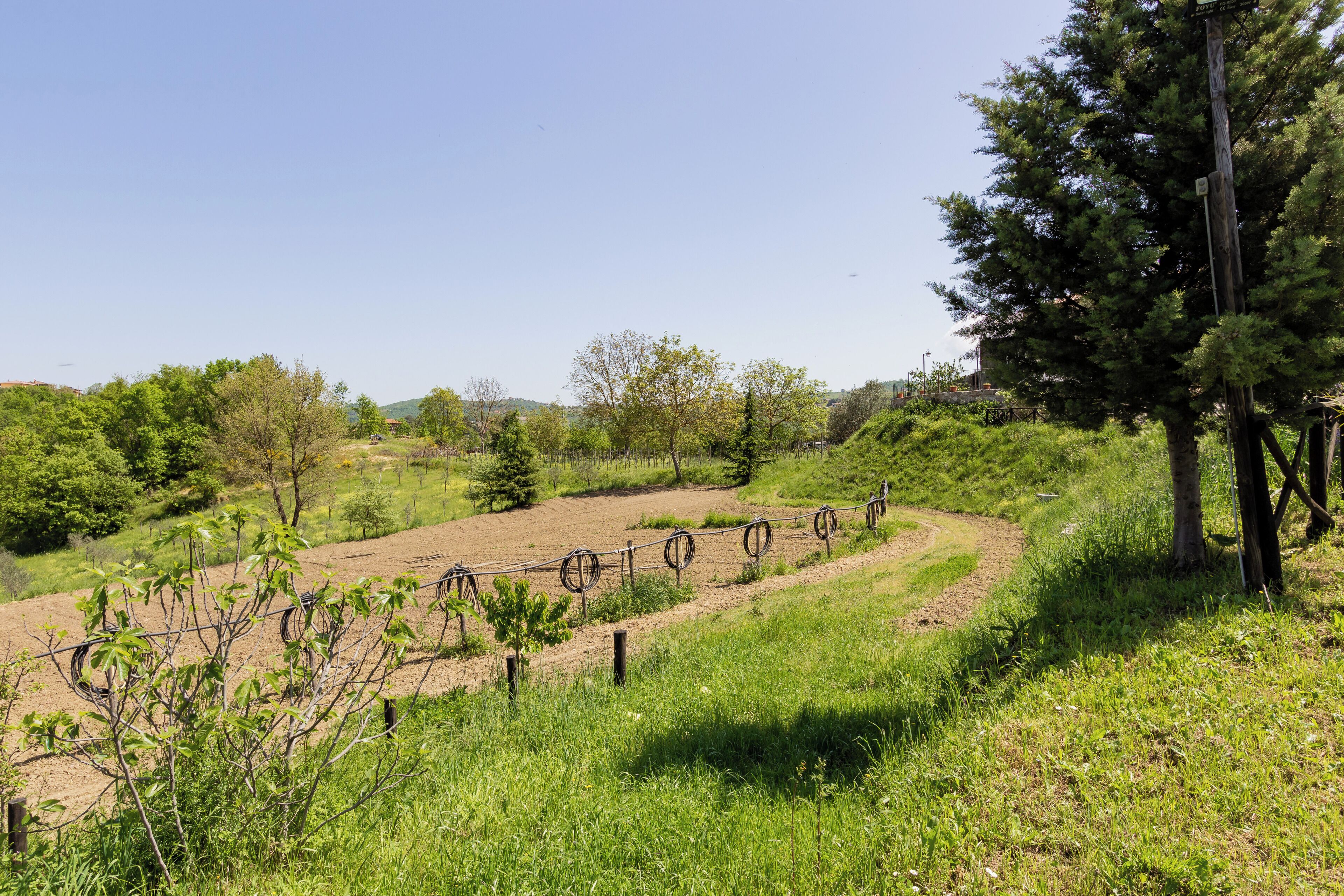 A fenced outdoor area with a dirt path, surrounded by greenery and trees.