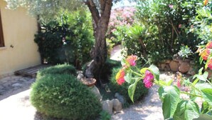 A garden with a tree, a well-maintained hedge, and flowering plants. - Villetta Rosmarino 1700 meters from the wonderful beaches of Chia (Sardegna)