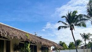 屋外プール