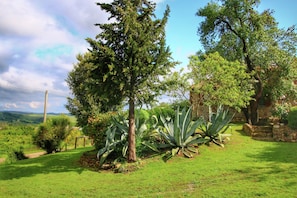 House | Garden - Farmhouse in Castiglione Dorcia (Castiglione d'Orcia)