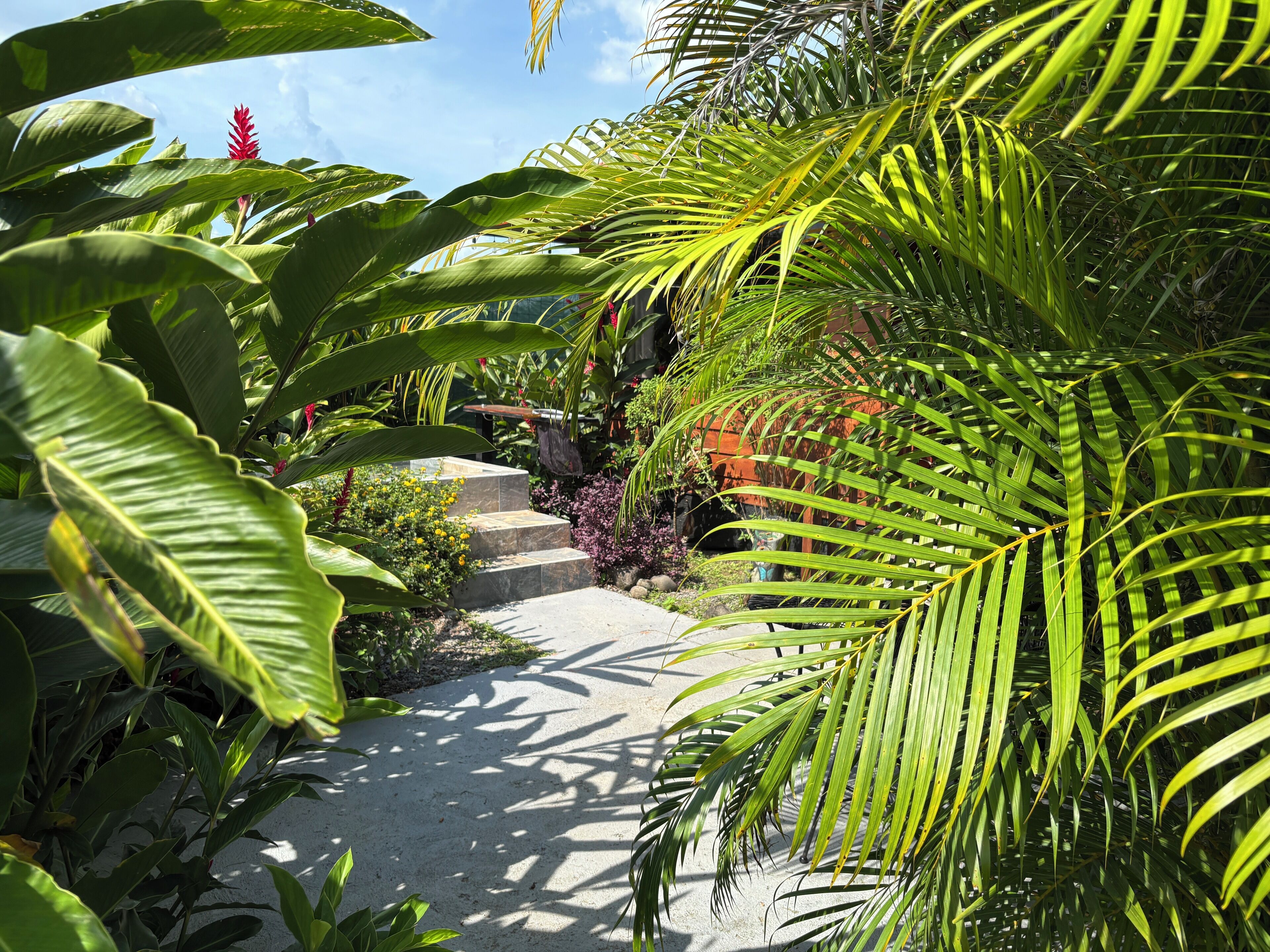 パノラミック キャビン マウンテンビュー | テラス / パティオ