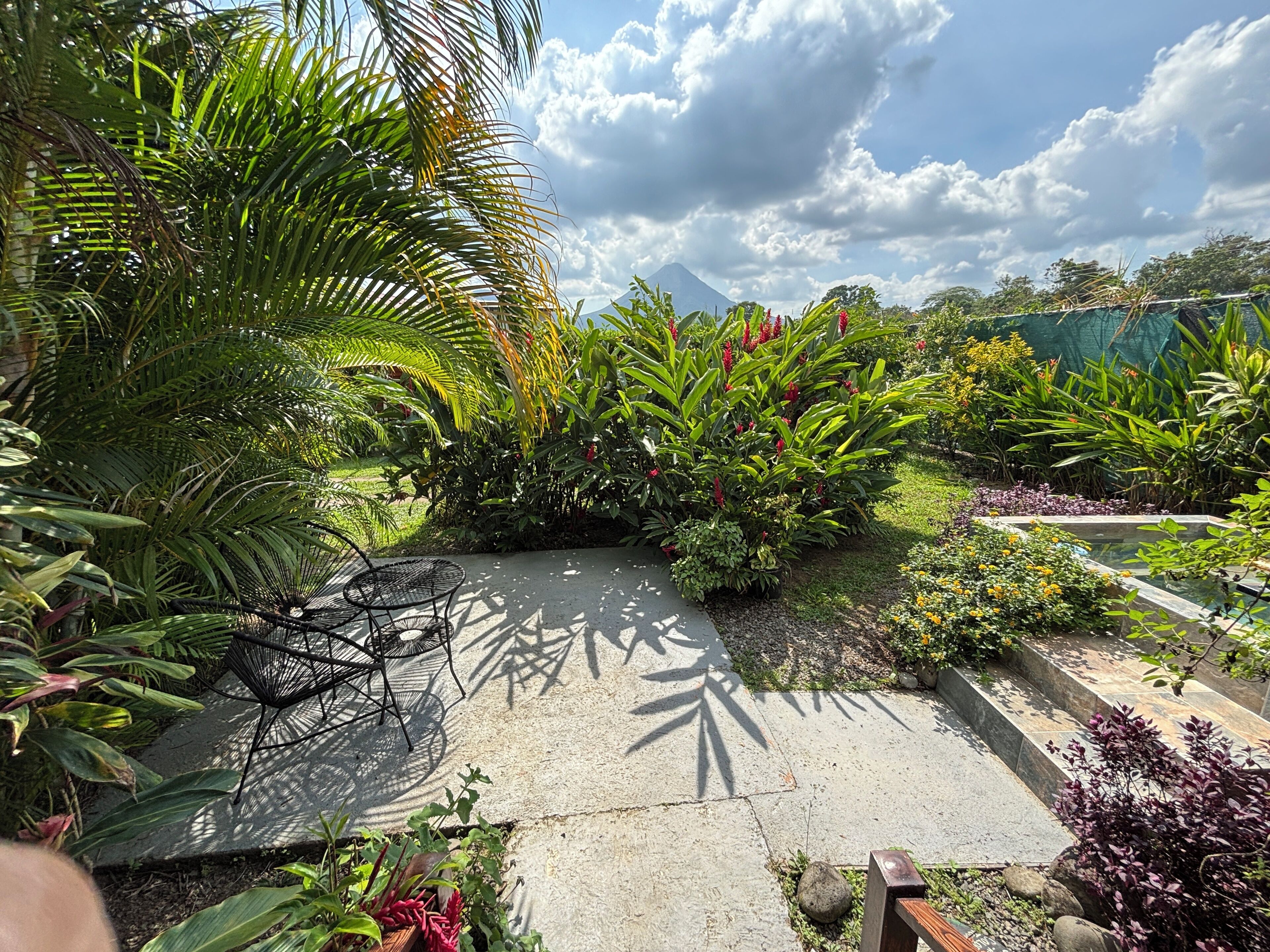 A garden with various plants and a concrete pathway.