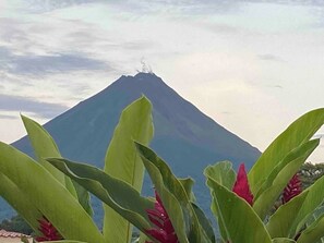 Exterior - Cabañas Kwepal Costa Rica  (La Fortuna)