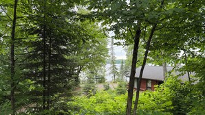 A cabin surrounded by dense forest with a lake in the background.