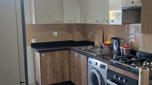Une cuisine moderne dotée d’un lave-linge et d’un sèche-linge intégrés, d’appareils électroménagers en acier inoxydable et d’armoires en bois.