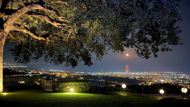 Vista nocturna de un paisaje urbano con una torre destacada, edificios iluminados y un árbol grande que da sombra.