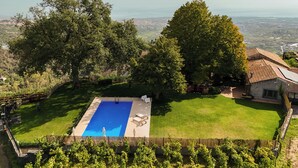 Una amplia piscina rectangular con muelle de madera y sillas de descanso, rodeada de césped cuidado y árboles.
