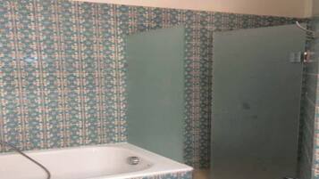 Shower, hair dryer, towels, toilet paper
