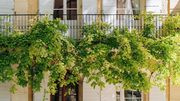 A building with a balcony, white-framed windows, and a table with chairs outside. - Paradise in Provence: Chateau du Jonquier (Mazan)