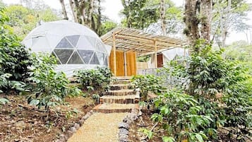Habitación Confort, 1 cama King size | Wifi gratis