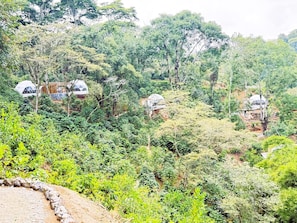 Front of property - Alma Glamping (Coatepec)