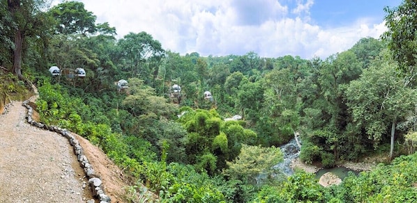 Front of property - Alma Glamping (Coatepec)