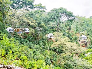 المنشأة من الخارج