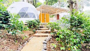Une construction rustique en bois, dotée d’un toit de chaume, entourée d’une végétation luxuriante et accessible par un chemin dégagé.