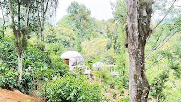 Vista frontal de la propiedad