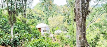 Alma Glamping 