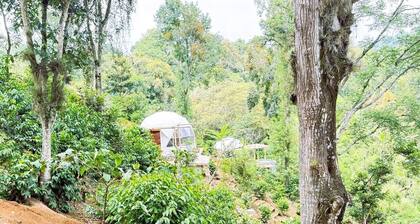 Alma Glamping