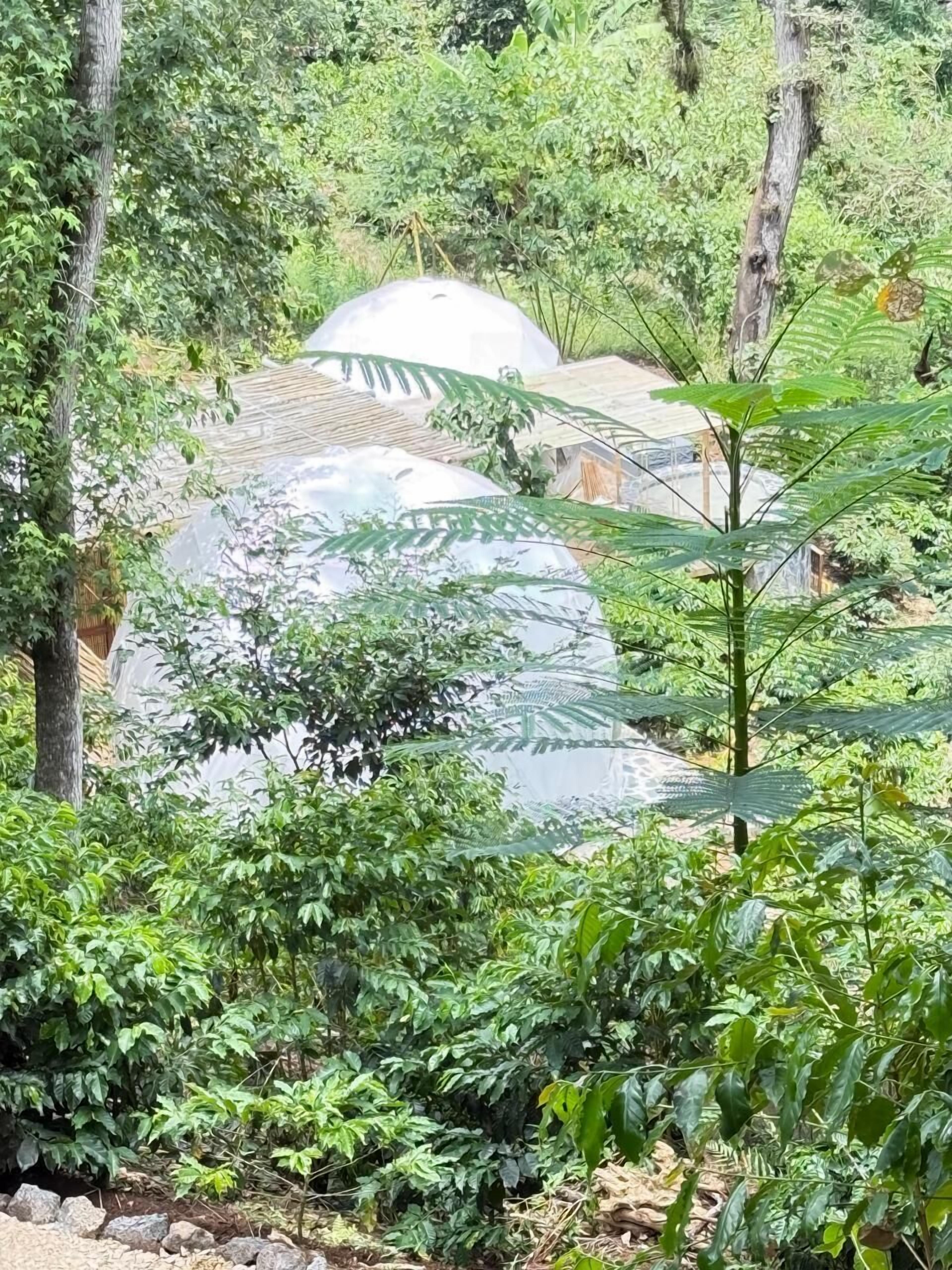 Habitación Confort, 1 cama King size | Wifi gratis 