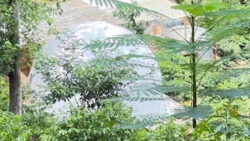 Habitación Confort, 1 cama King size | Wifi gratis