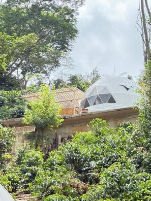 Comfort Room, 1 King Bed | Free WiFi - Alma Glamping (Coatepec)