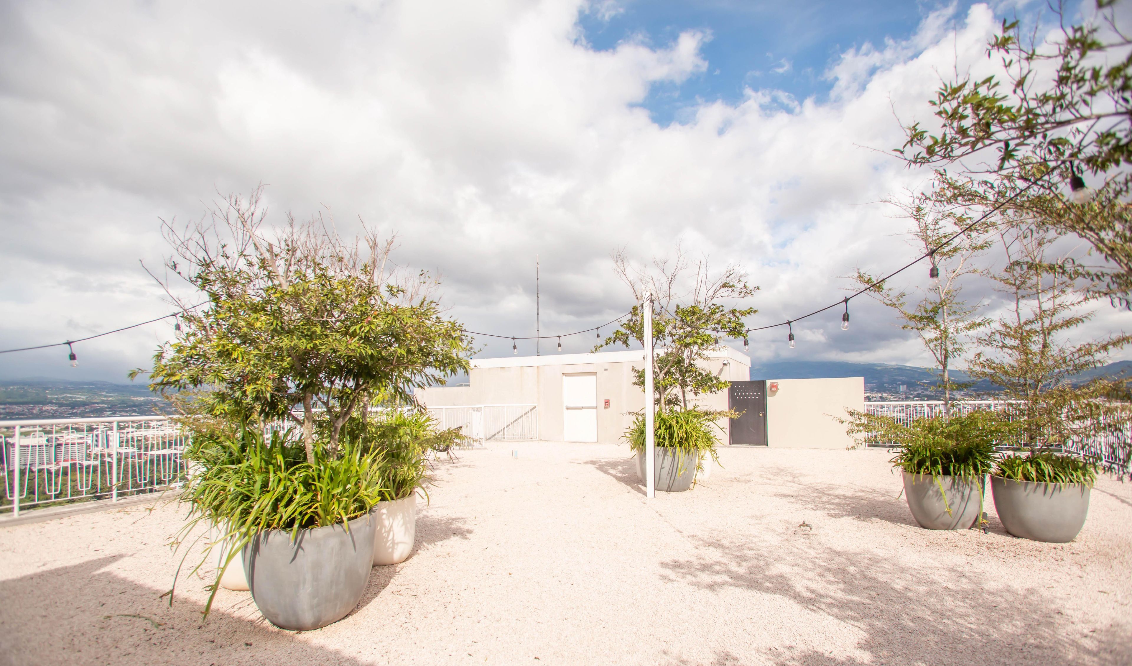 Terraço no telhado com plantas em vasos, luzes de corda e vista para a paisagem urbana.