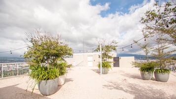 Terraço no telhado com plantas em vasos, luzes de corda e vista para a paisagem urbana.