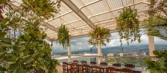 Sunflower at 12, City Views and Wonderland Vibes!