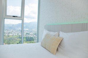 2 多间卧室、上网接入
