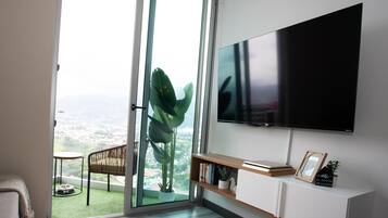 TV