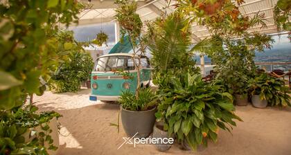 Serenity at 12, City Views and Wonderland Vibes!