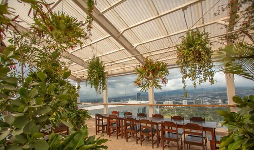 Serenity at 12, City Views and Wonderland Vibes!