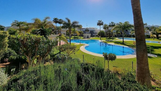 Un área de piscina con varias piscinas, rodeada de palmeras y vegetación.