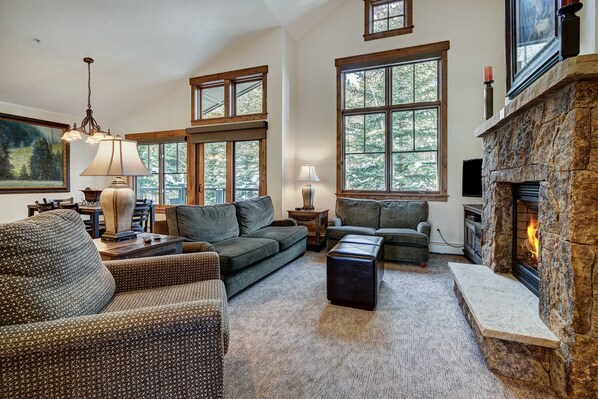 Téléviseur, foyer, lecteur de DVD, chaîne audio