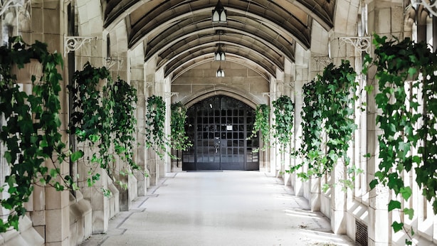 A corridor with arched ceilings and stone walls, lined with hanging vines. - Knox Residence University of Toronto (Toronto)