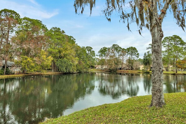 A tranquil lake surrounded by trees and a grassy area. - Beautiful Lake Mandarin Home (Jacksonville)