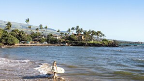 A beach with a person carrying a surfboard, palm trees, and houses in the background. - Ocean Front Condo, Modern & Bright (kihei)