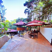 Bar (en el alojamiento)